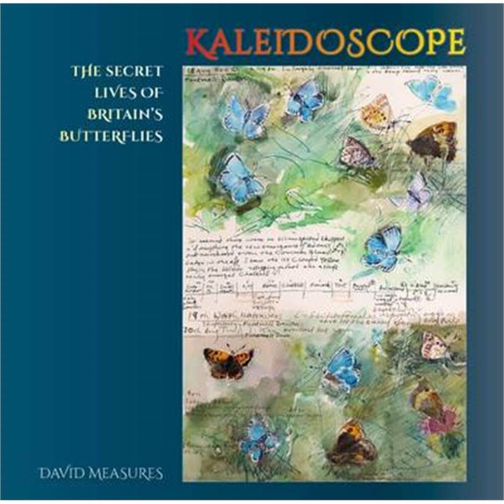 Kaleidoscope (Hardback) - David Measures
